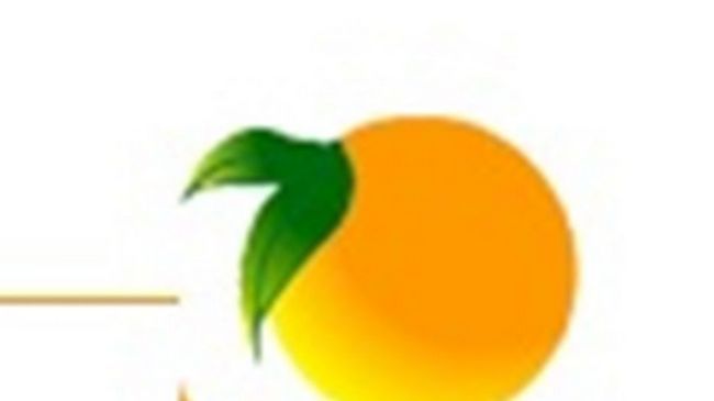 Orange Garden Aparts & The Nordic